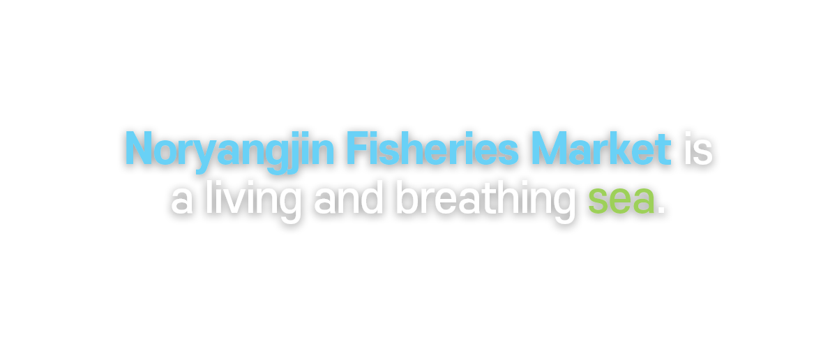 Noryangjin Fisheries Market is a living and breathing sea.