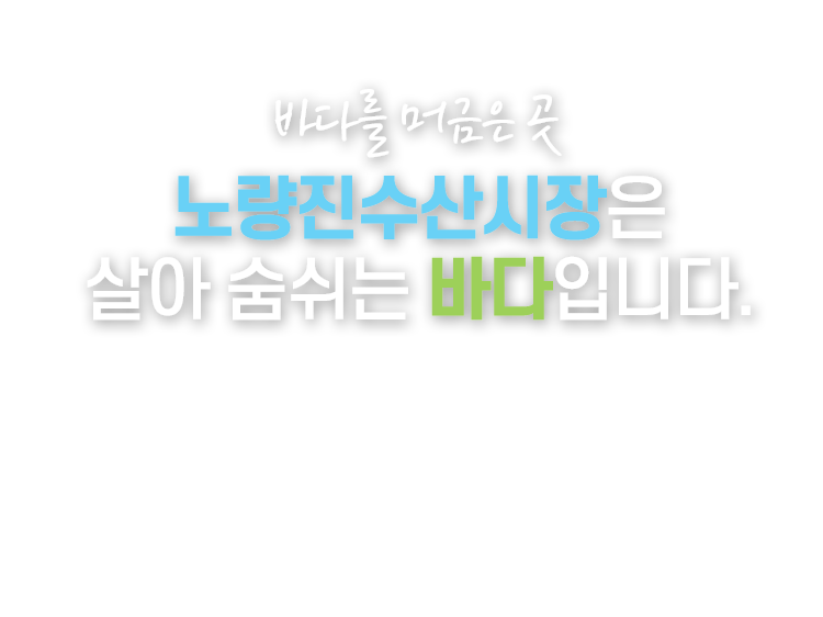 바다를 머금은 곳 노량진수산시장은 살아 숨쉬는 바다입니다. 