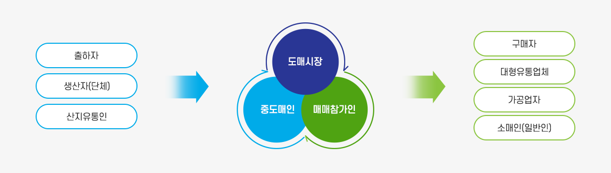 출하자,생산자(단체),산지유통인이 도매시장에 위탁하고 도매시장 중도매인,매매참가인이 낙찰받은 물품을 구매자,대행유통업체,가공업자,소매인(일반인)에게 유통합니다.