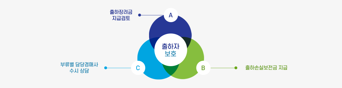 출하자 보호로 A.출하장려금 지급검토, B.출하손실보전금 지급, C.부류별 담당경매사 수시 상담 으로 구성된다.